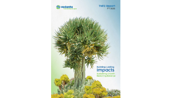 Vedanta Factsheet