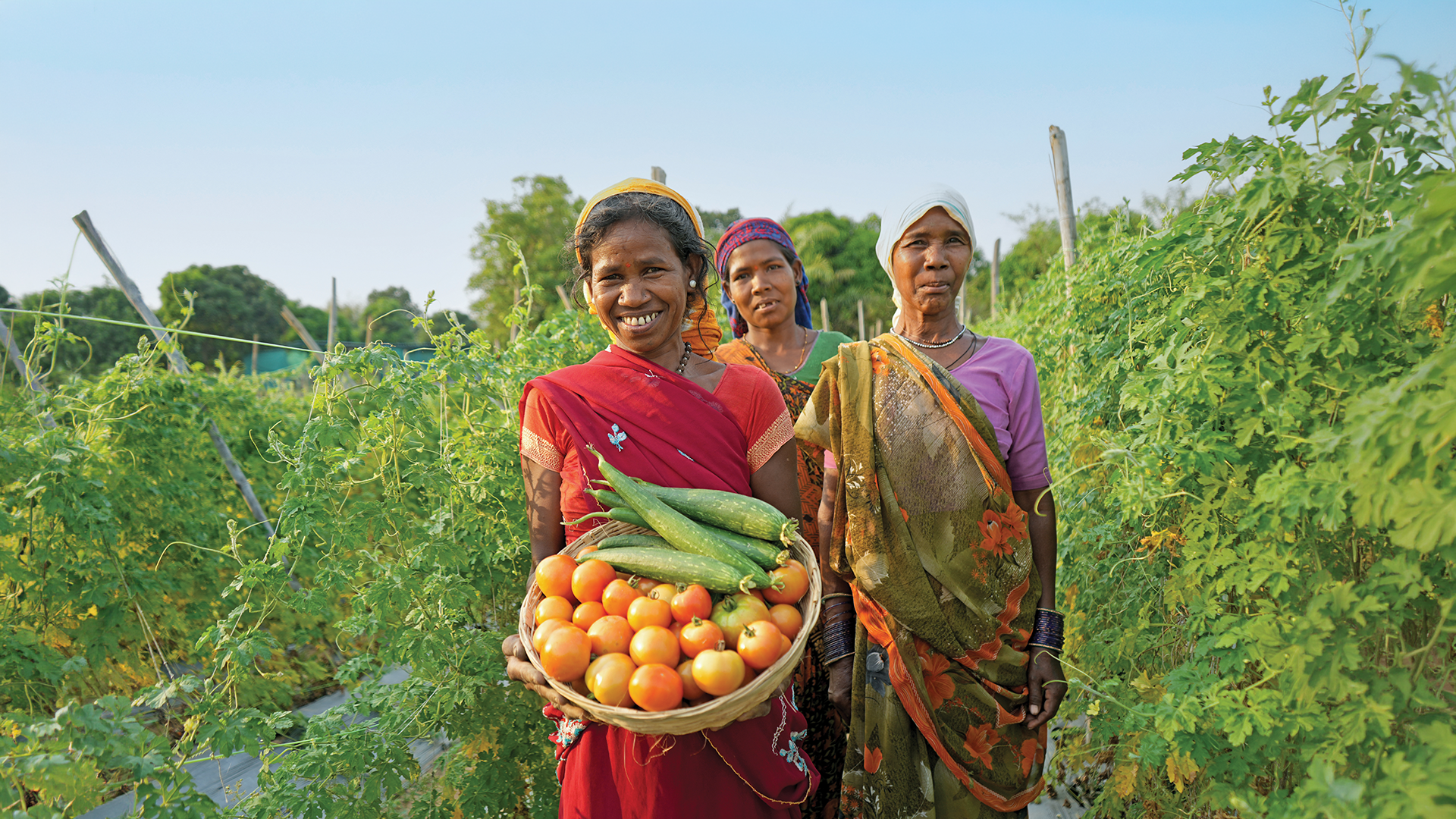 Transforming Communities